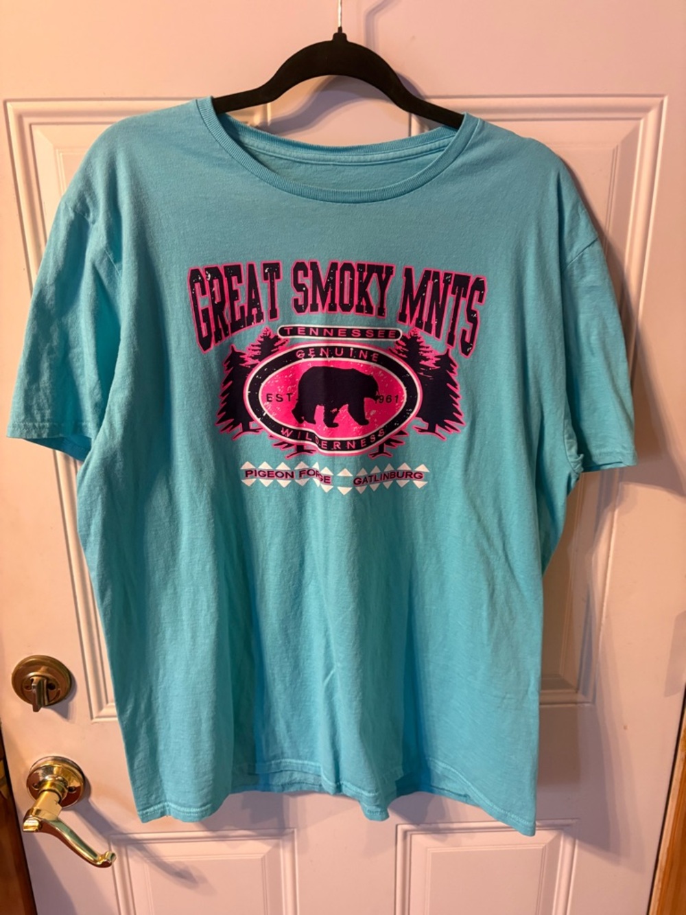 Great Smoky Mountains Graphic Tee - Light Blue Size Large
